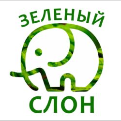 питомник растений "Зелёный слон" Саженцы с доставкой в Гродно